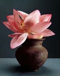 これも、花。花道の極北、中川幸夫の花 | ブルータス| BRUTUS.jp
